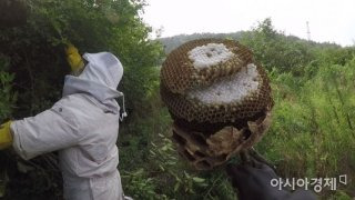 최문보 교수 1호 제자 김재희 연구원