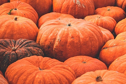 호박씨 껍질 위험하지 않을까?