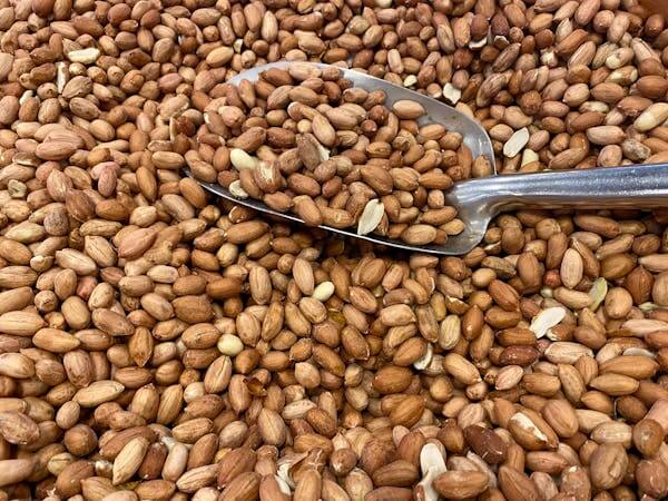 2025년농식품바우처