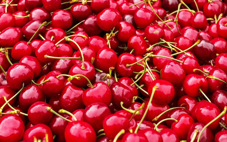 타트체리 유기농 제품 구매 가이드