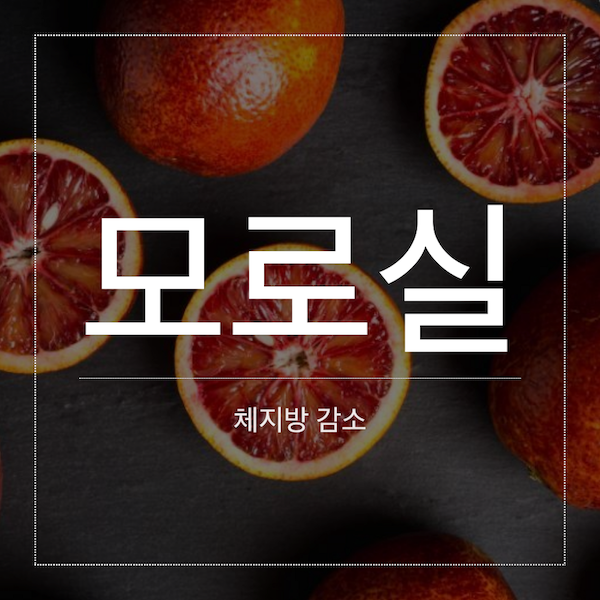 [건강식품] 모로실(모로오렌지)이 있는데, ABC를 왜 마셔?