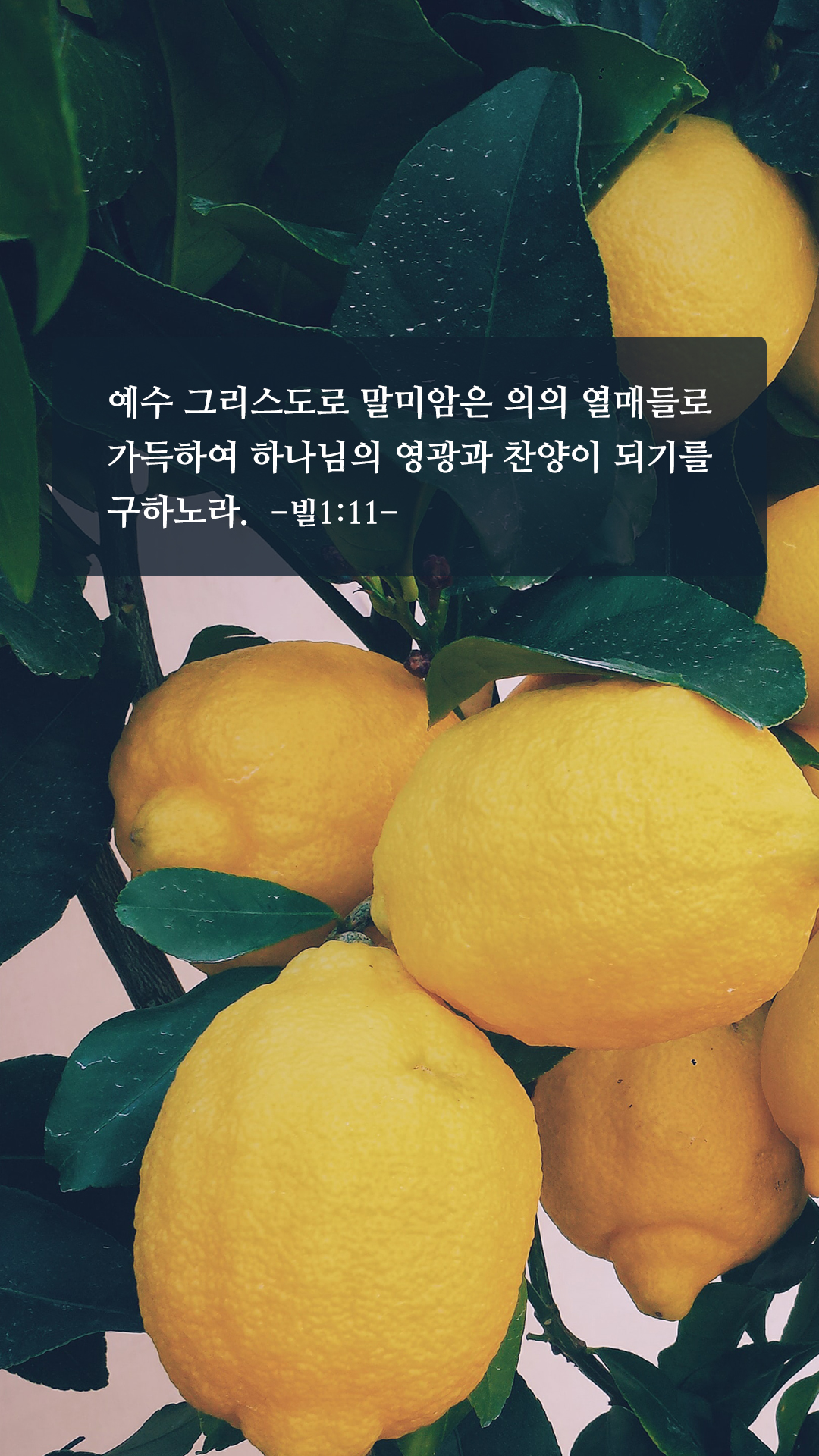 성경 좋은 구절