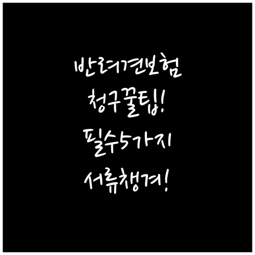 반려견 보험 청구 방법 5가지 필수 ..
