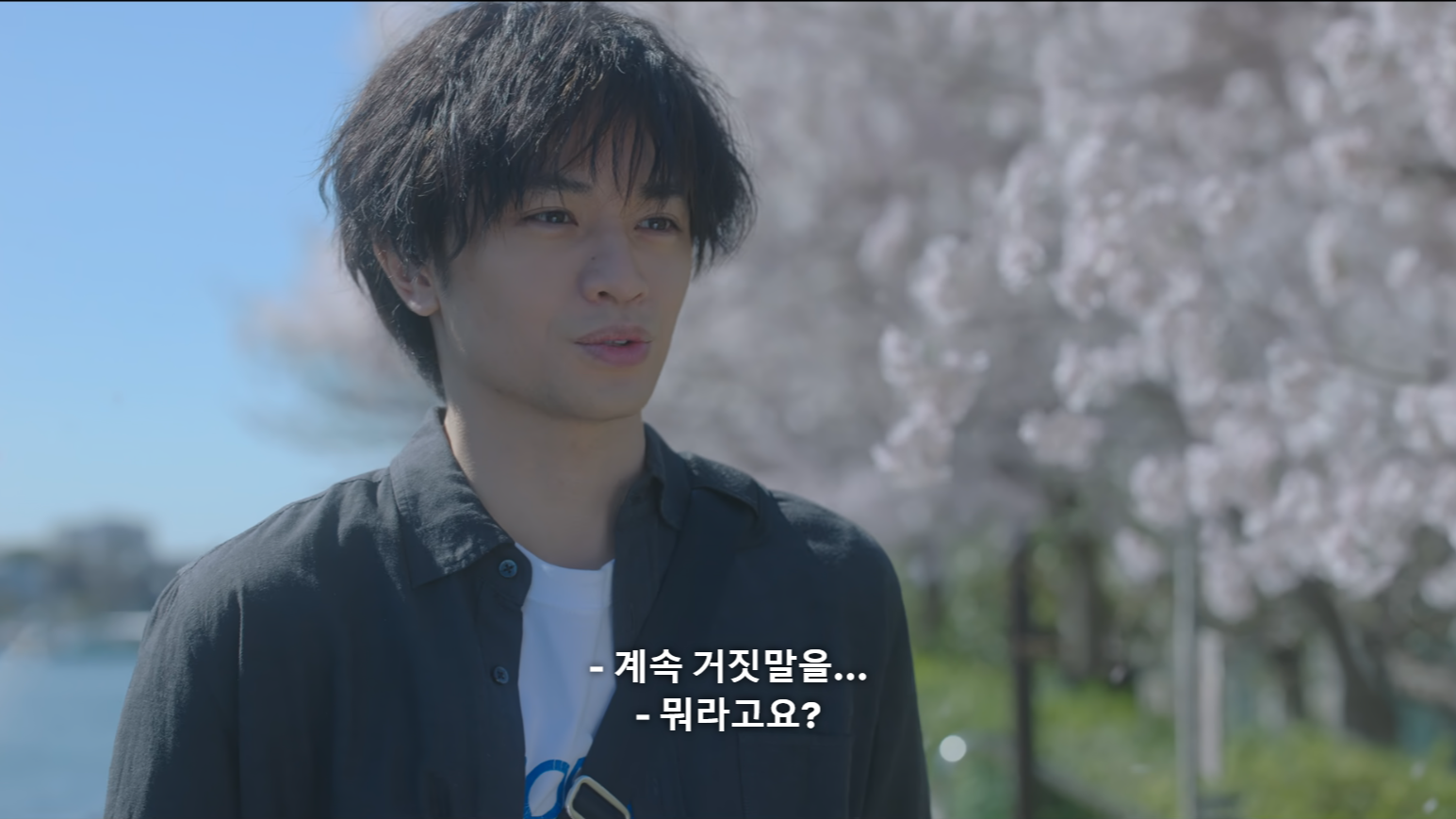 영화 벚꽃같은 나의연인 넷플릭스