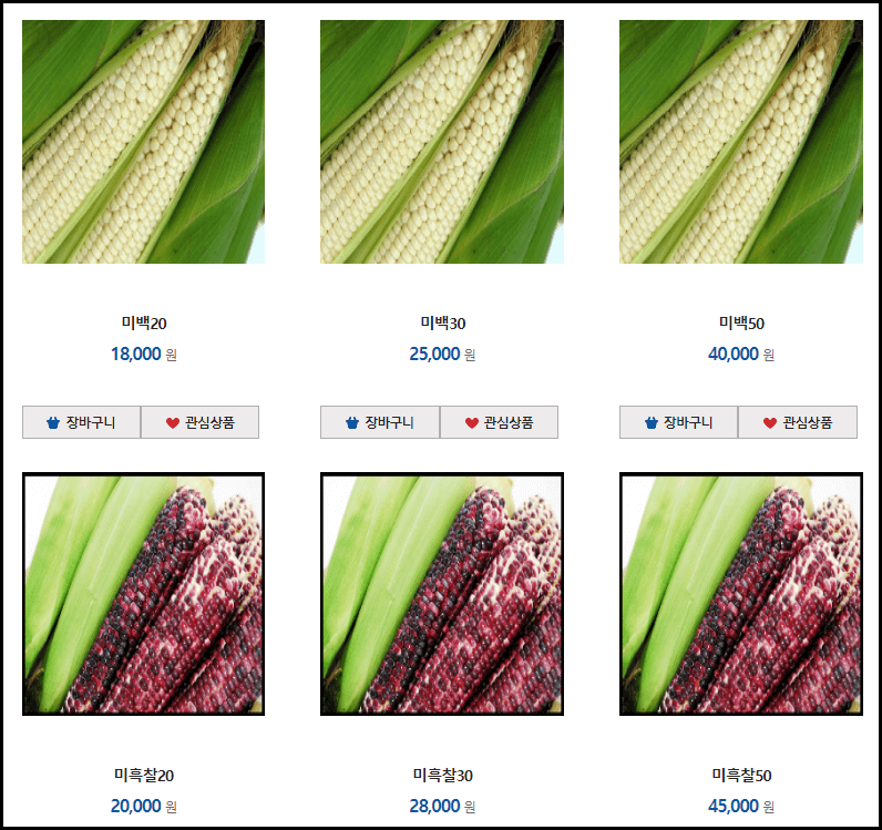 홍천 찰옥수수 가격