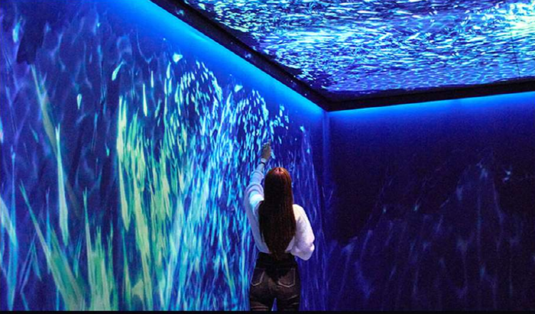 뮤지엄 딥다이브