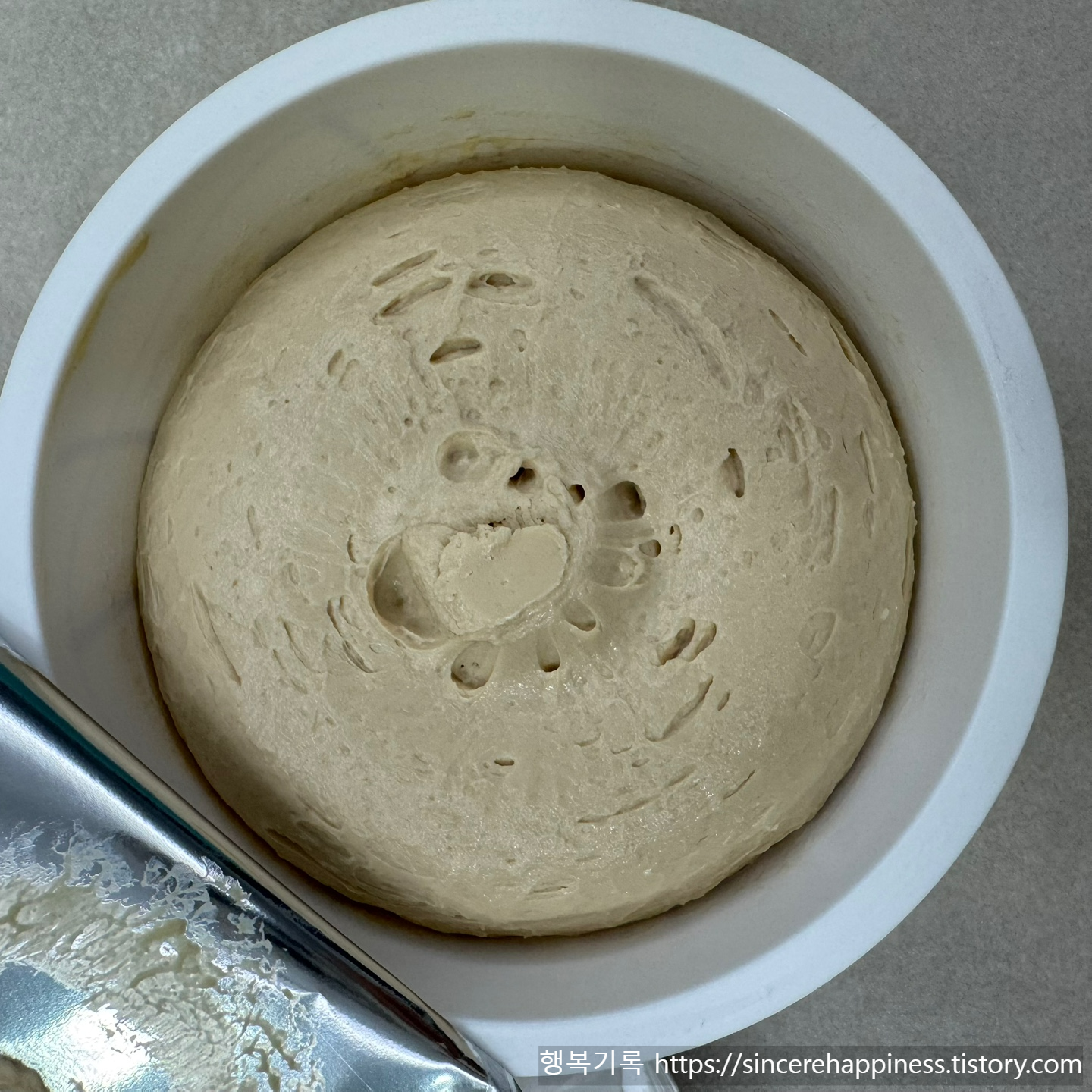 꾸덕한 식물성 그릭요거트 질감 확인