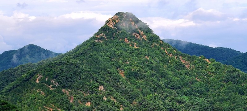 창녕 영취산 비탐 20