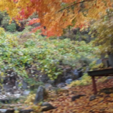 숲나들e 양평 설매재 자연휴양림 국내 여행지 추천 관련사진