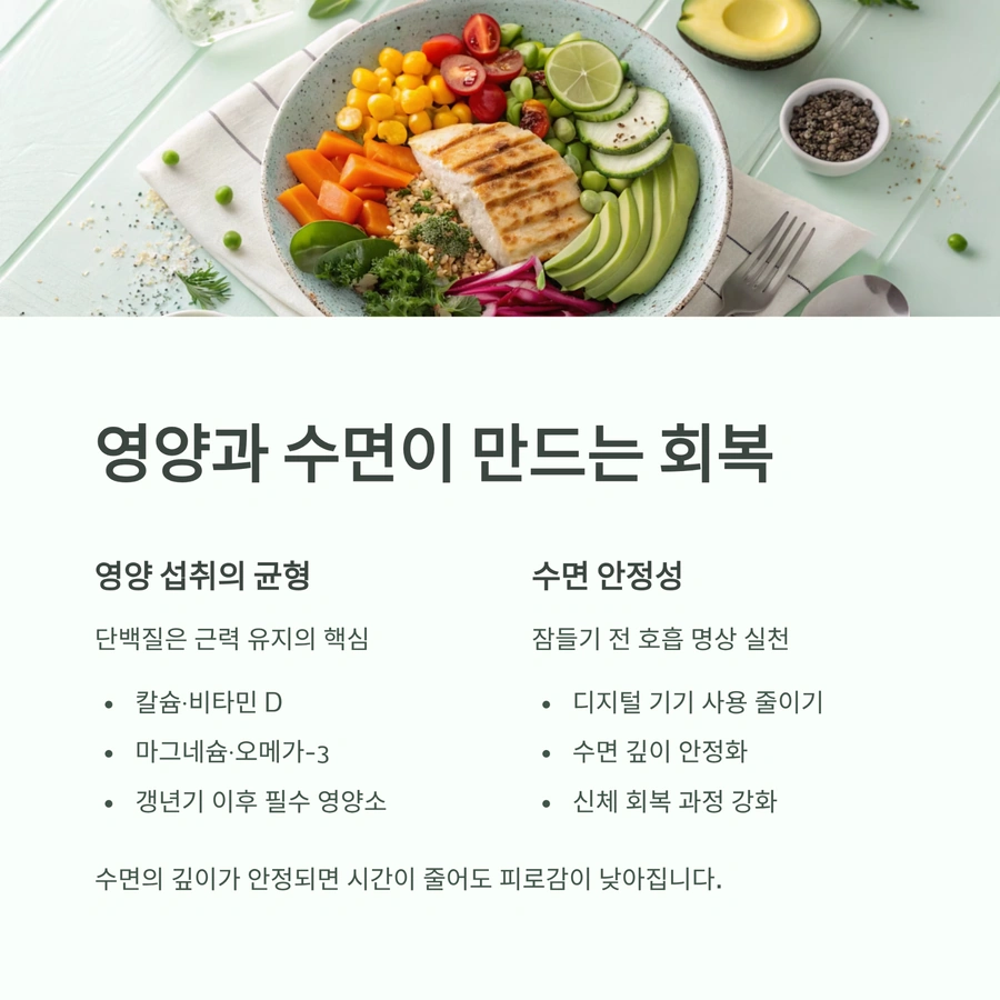 영양 섭취와 수면 안정성 회복 인포그래픽