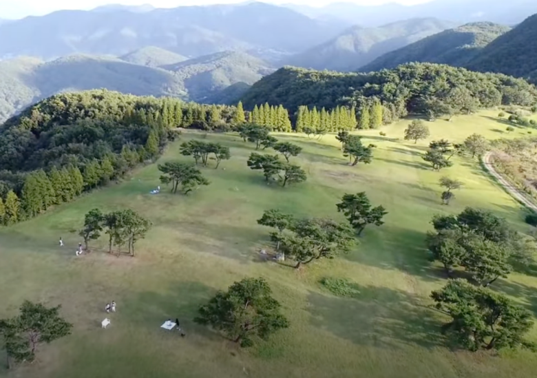 경주-화랑의언덕