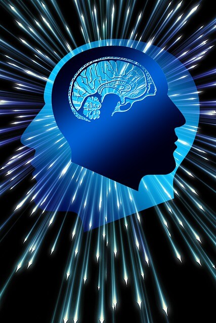 싸이코패스 테스트 정의 진단방법