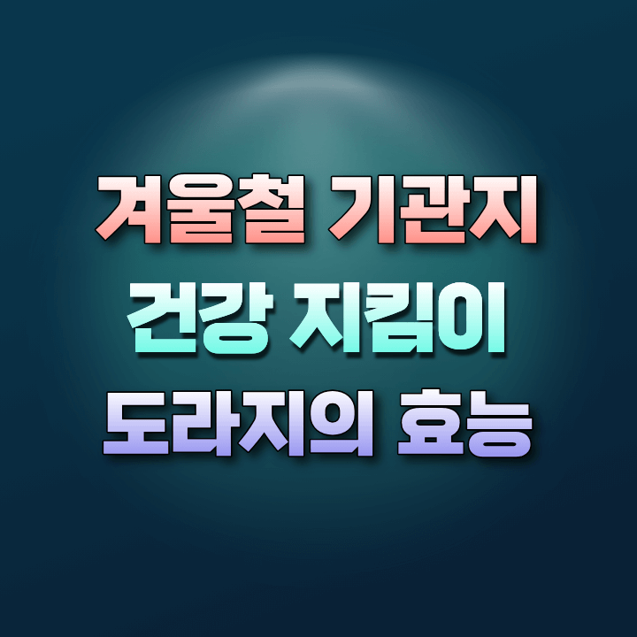 겨울철기관지건강지킴이-도라지