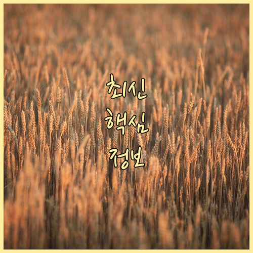 필수 정보 육아휴직급여 비과세 소득 ..