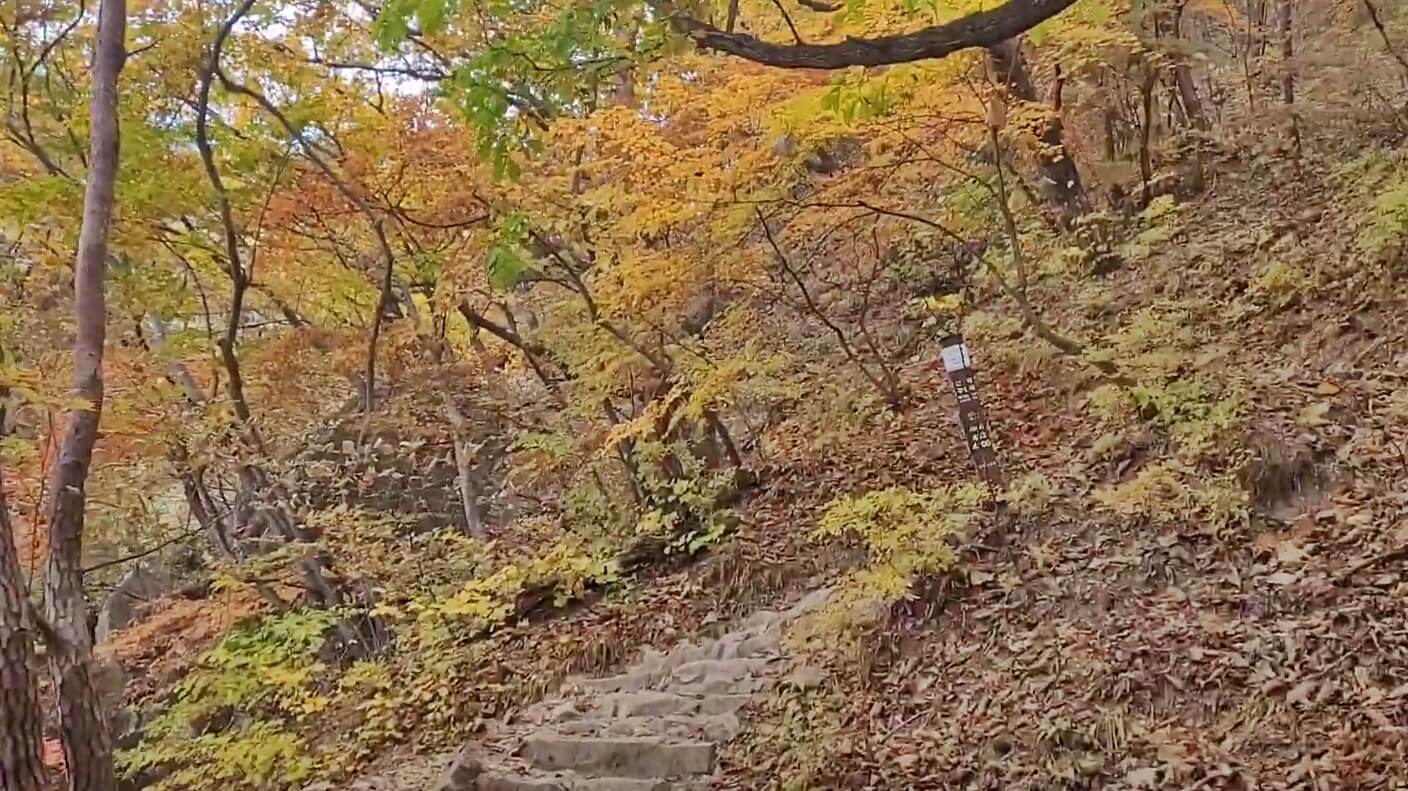 금오산