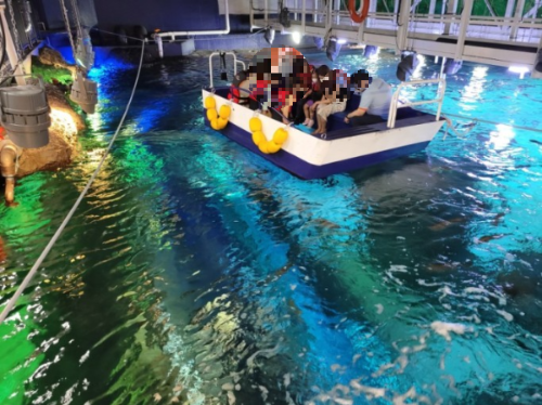경기도 가볼만한 곳 수원 광교 아쿠아플라넷 투명보트체험