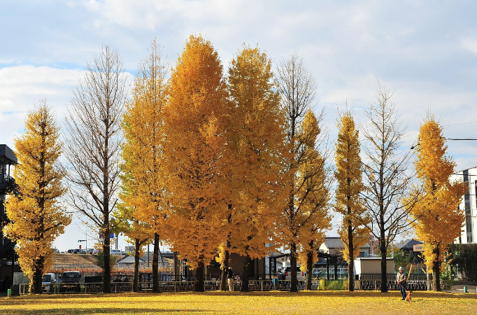 SNS에 안 알려진 감성적인 여행지
