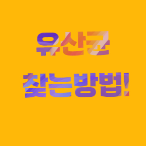 유산균 고르는법!