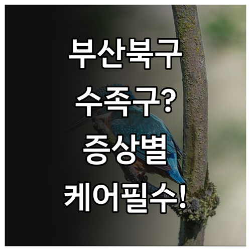 부산 북구 수족구 증상별 병원 방문 ..
