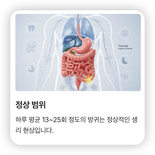 방귀가-자주-나오는-증상-사람-내장-모습