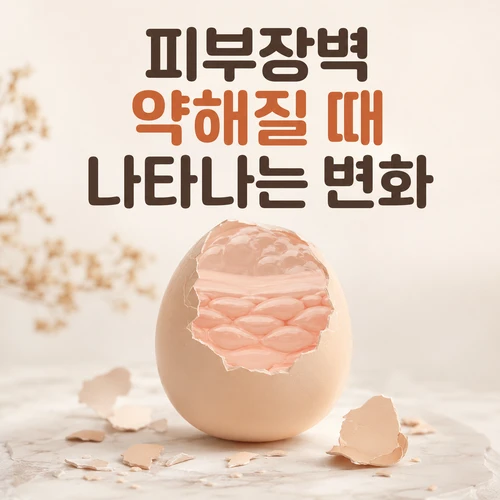 피부장벽 약해질 때 나타나는 변화