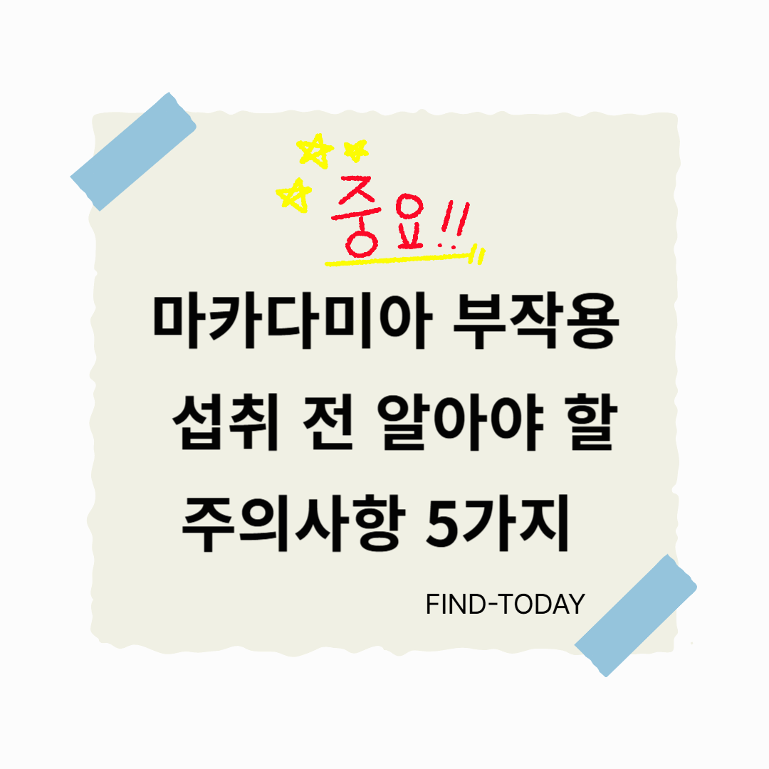 마카다미아의 부작용, 섭취 전 알아야 할 주의사항 5가지