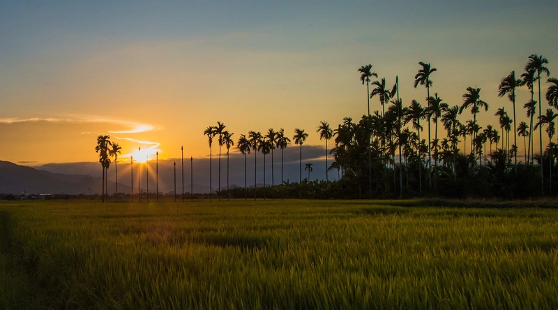 타이젬 바둑 다운로드