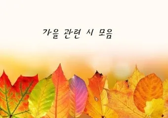 가을 시 모음 5편 추천 선별_15