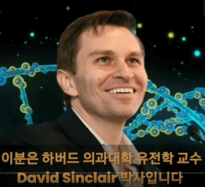 간헐적단식