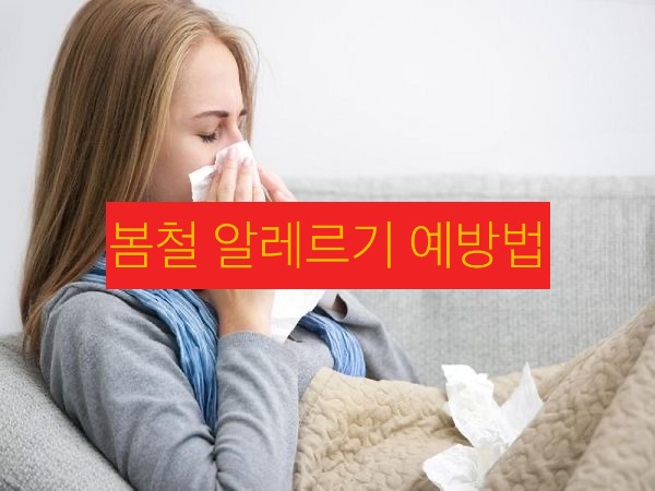 알레르기 이미지