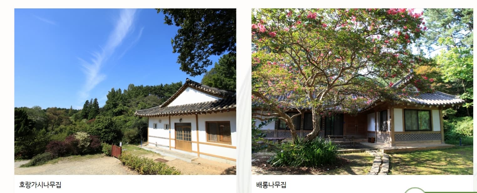 천리포수목원 목련축제｜비공개 정원 개방, 숙박, 온라인예약 팁까지!