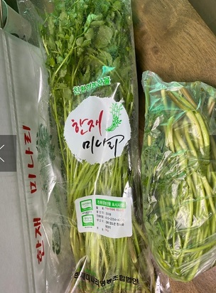 청도한재미나리-6시내고향