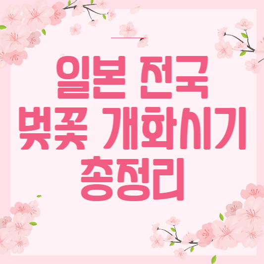 벚꽃