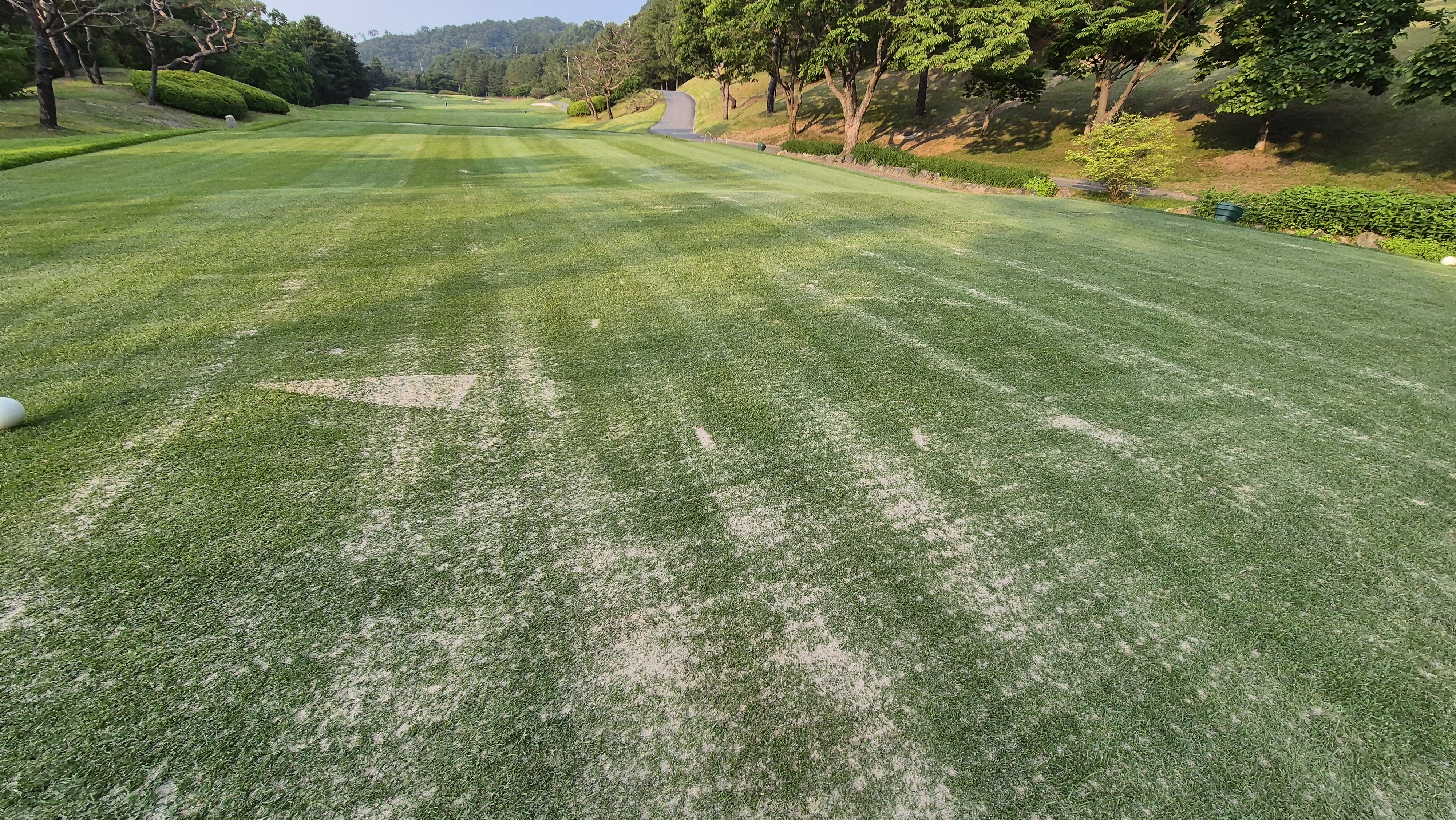 이포cc 라운드 후기