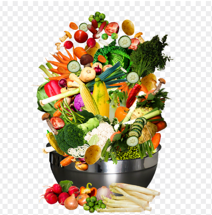 비타민과 미네랄의 역할