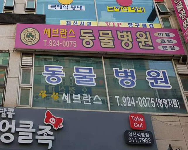세브란스동물병원