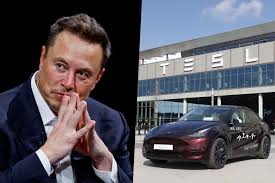 테슬라 주가 전망8