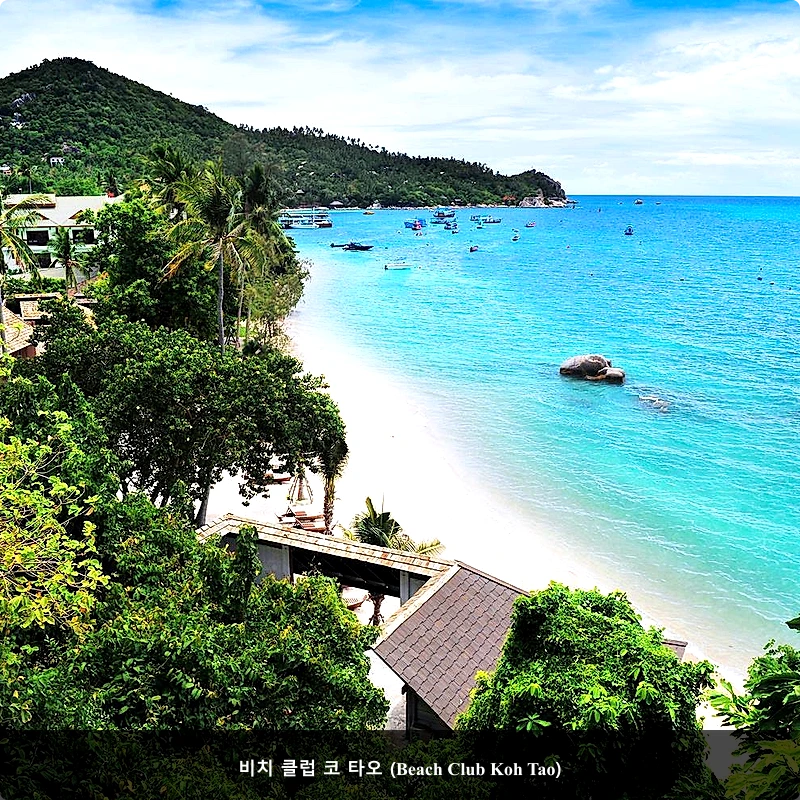 비치 클럽 코 타오 (Beach Club Koh Tao)_1