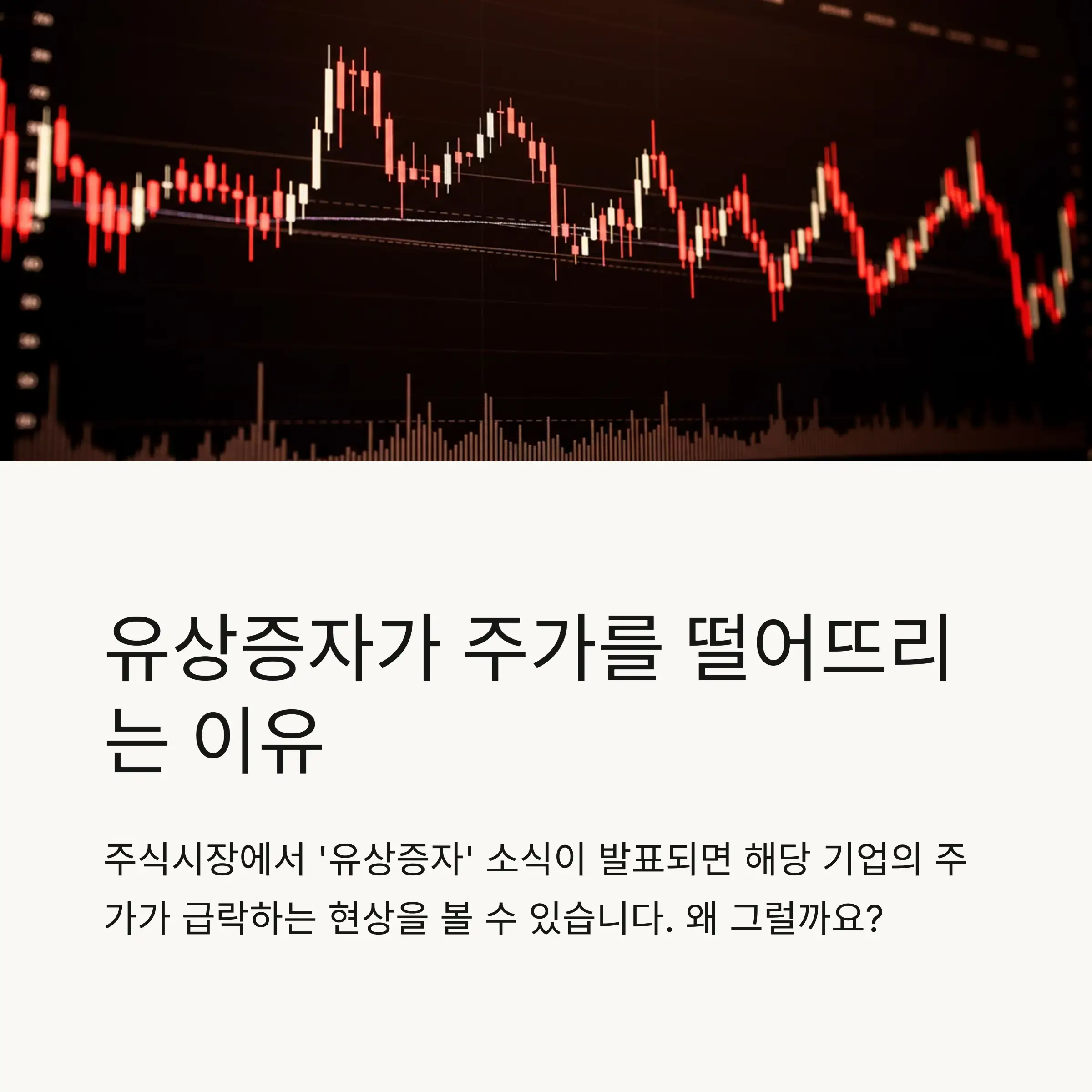 📋 목차