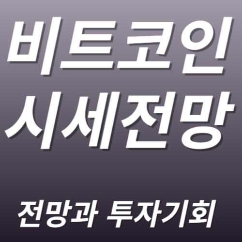 암호화 화폐 비트코인 전망