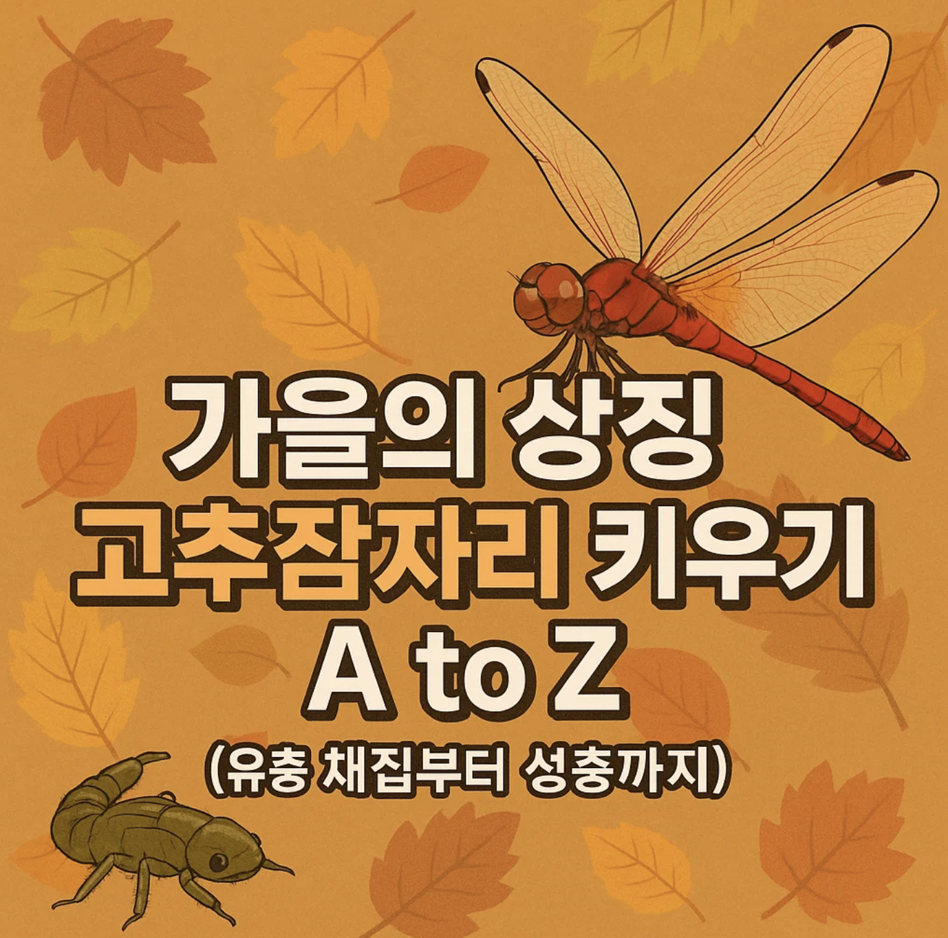 가을의 상징 고추잠자리 키우기 A to Z (유충 채집부터 성충까지)