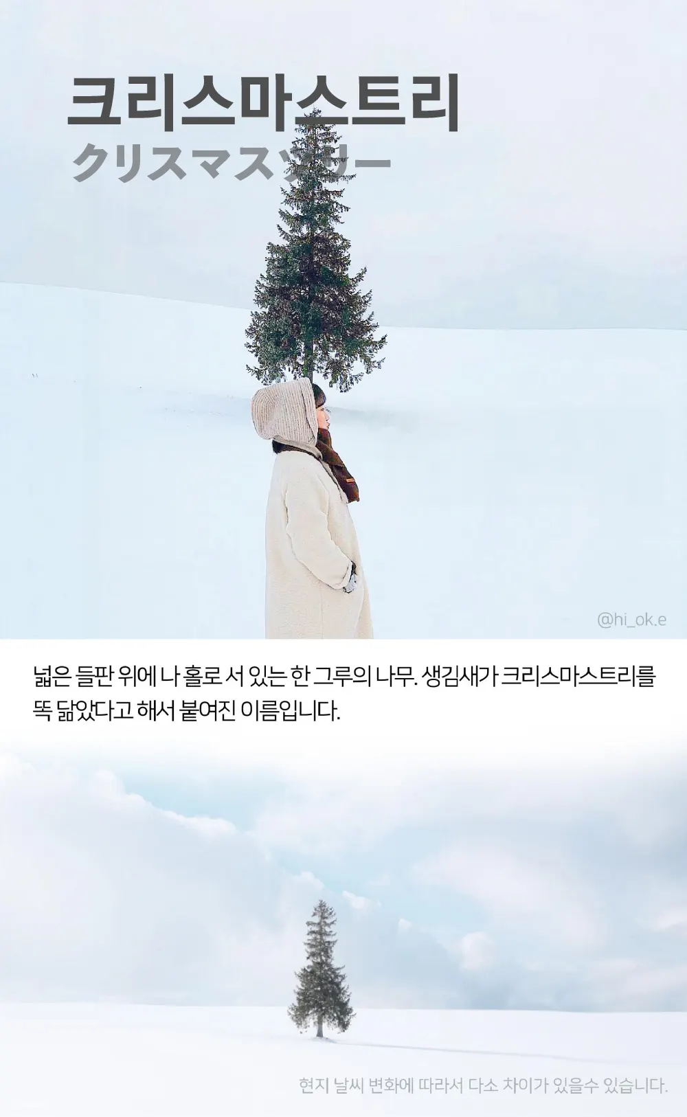 삿포로 근교 비에이 후라노