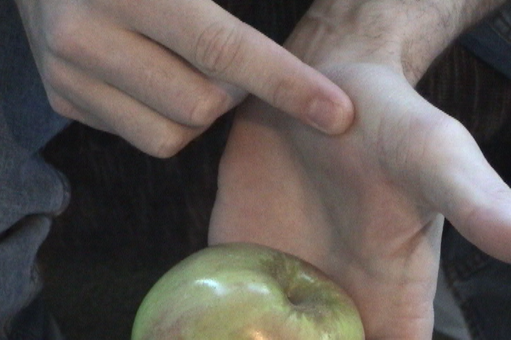 오른손 검지로 왼손 엄지 아래쪽의 넓적한 부분을 가리키는 사진