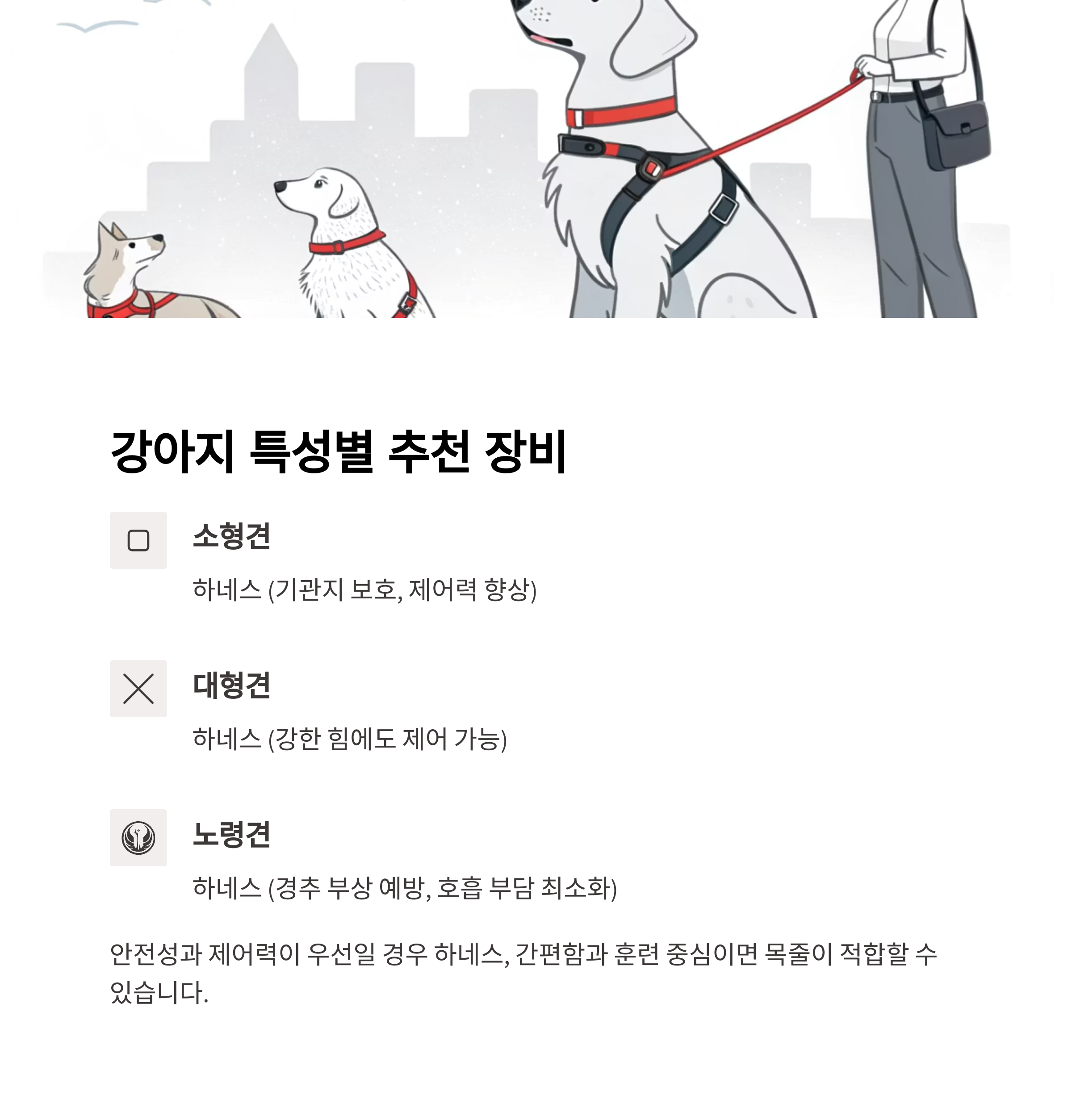 강아지 특성별 추천 장비