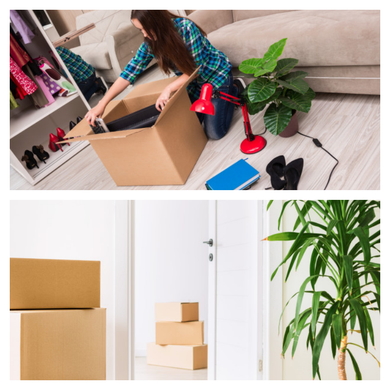 영동군 포장이사