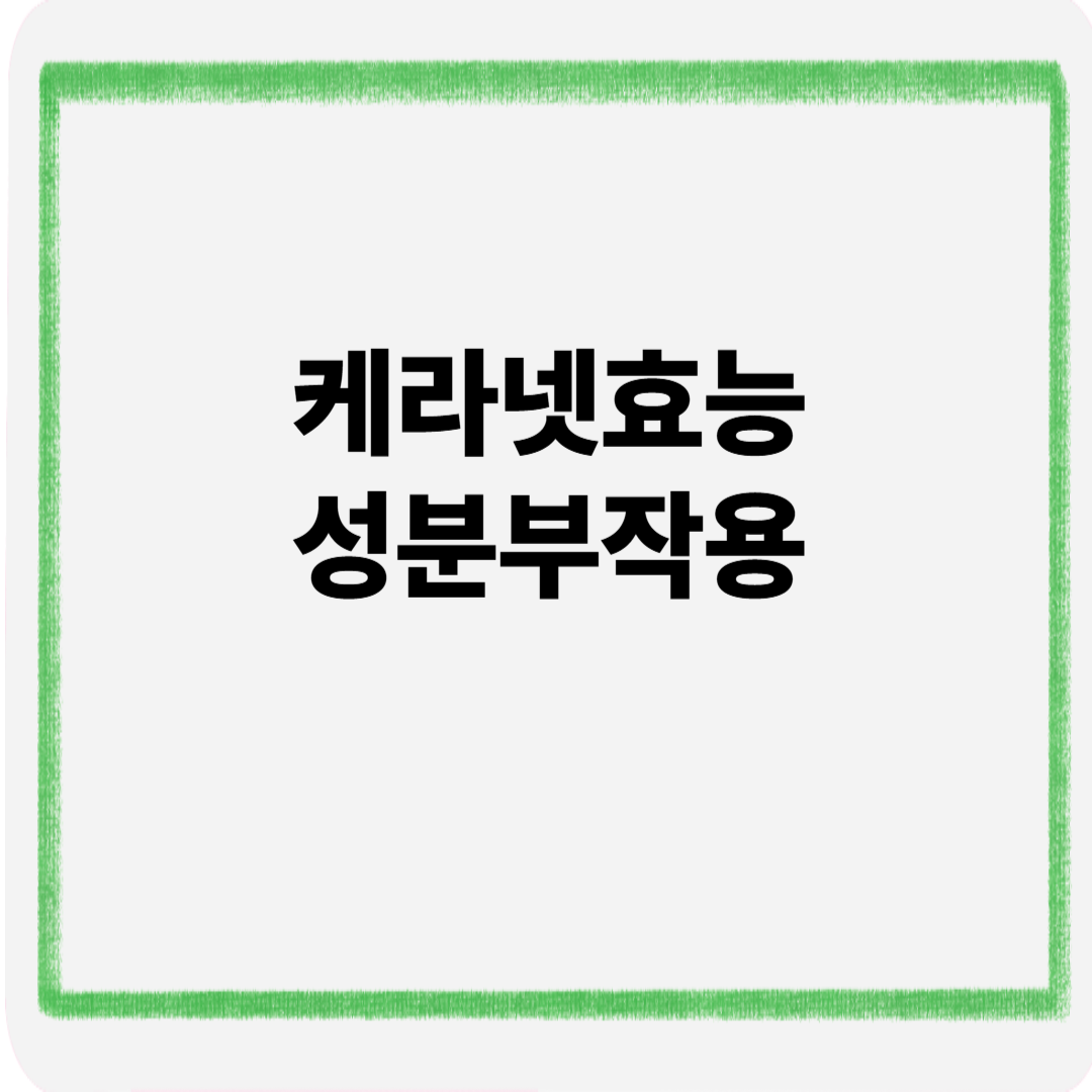 케라넷 효능 성분 부작용