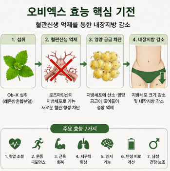 오비엑스-효능-후기-먹는법-내돈내산-다이어트-효과