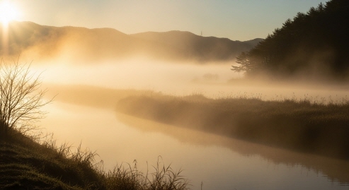 청송 주산지의 물안개 풍경