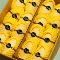 프리미엄 태국 망고 골드망고 선물세트 항공수입, 태국망고 2.5k, 1박스