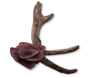 광동침향환-녹용